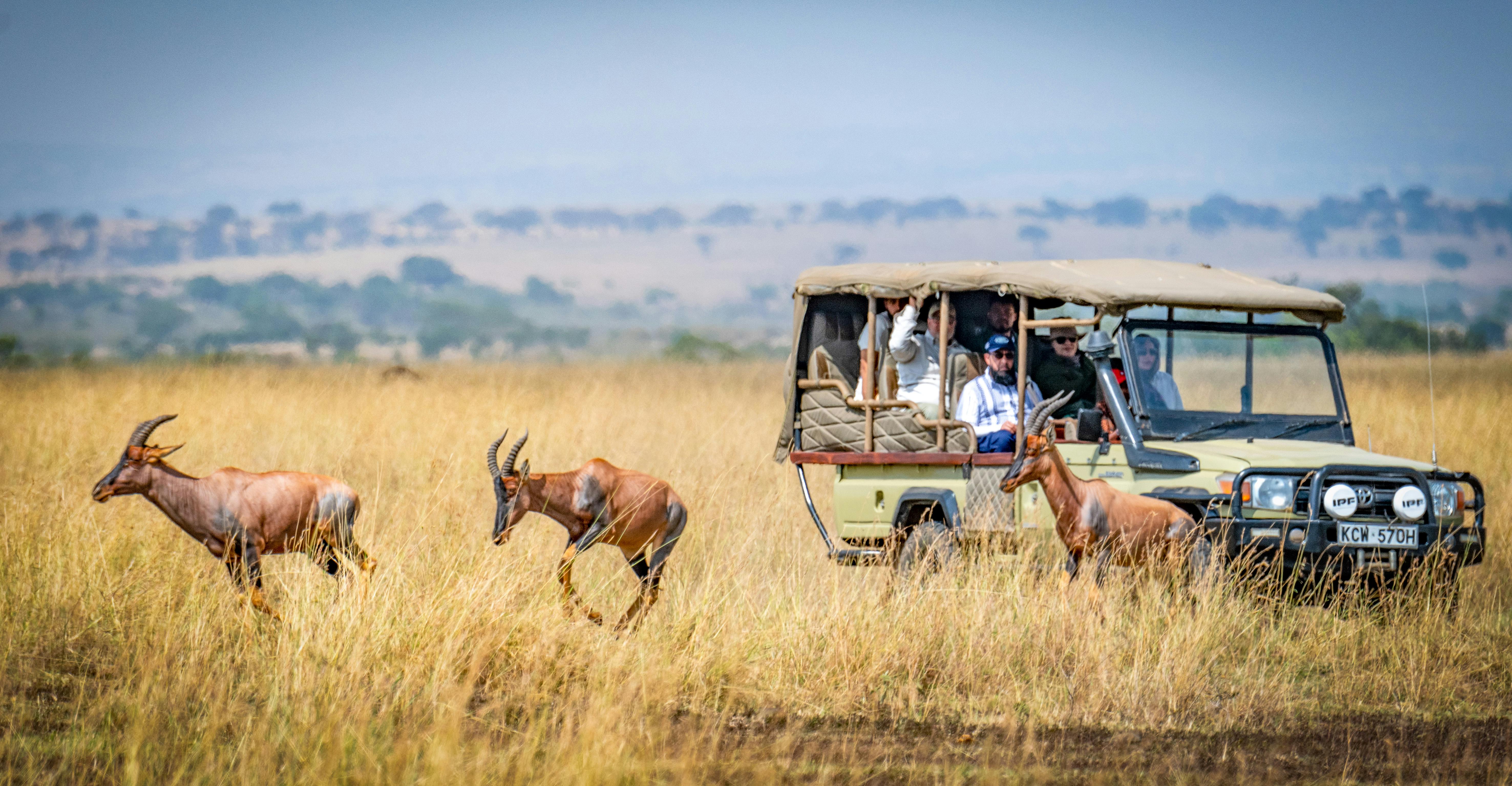 2 Days Tangire National Park & Ngorongoro Crater photo 2
