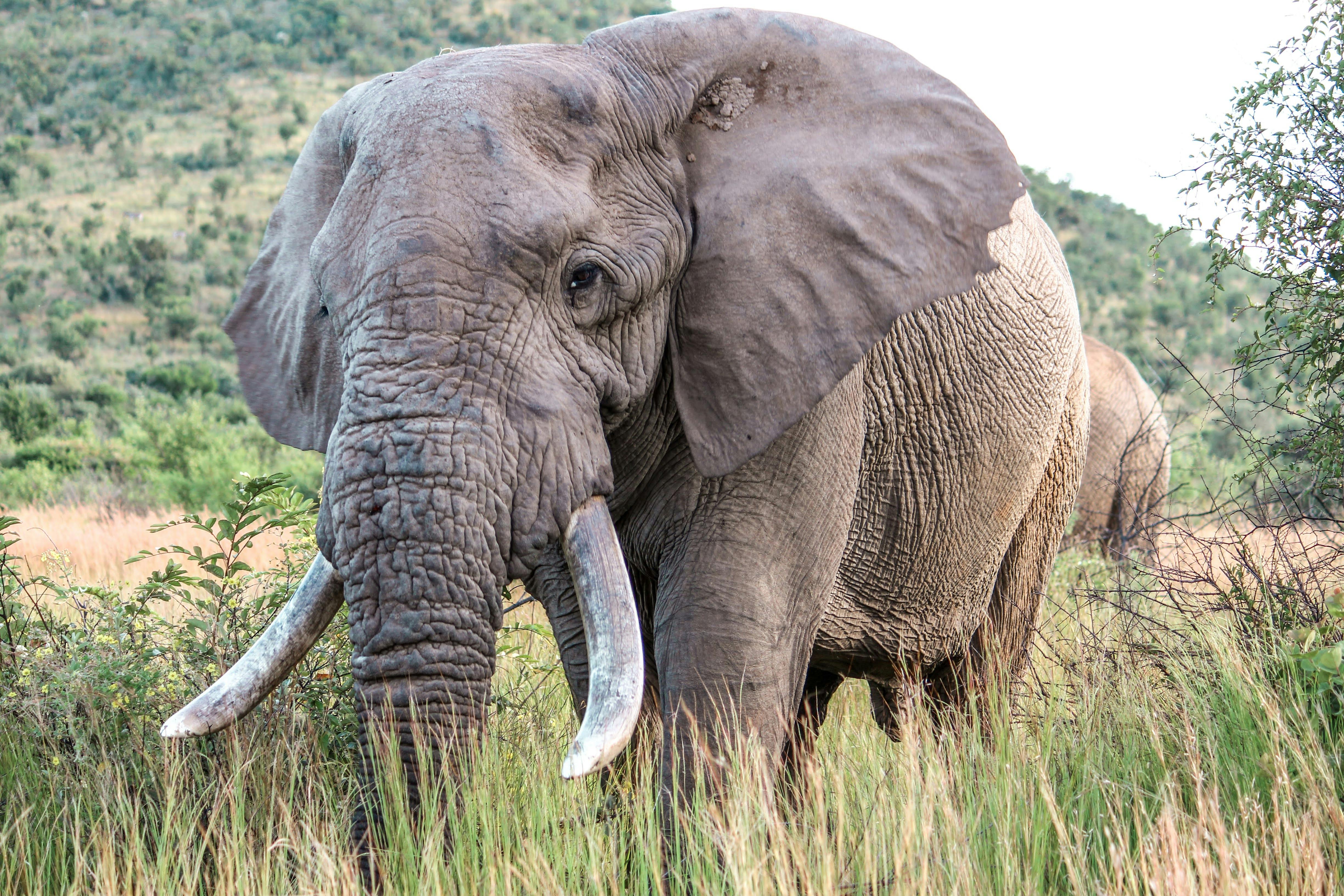 5-Day Private Serengeti, Ngorongoro & Tarangire Safari — Tanzania Safaris with Zan Travels