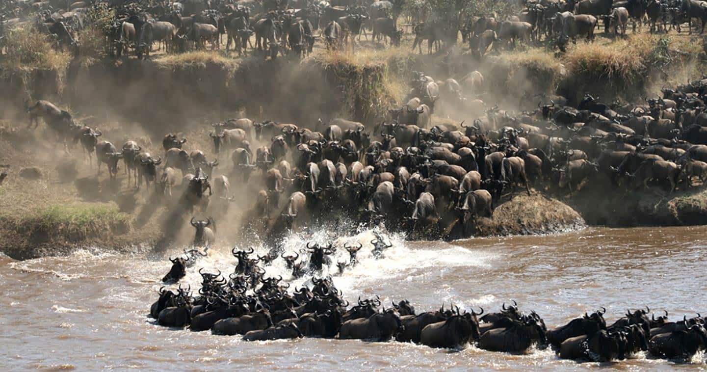 3-Day Group Tour to Serengeti & Ngorongoro photo 3