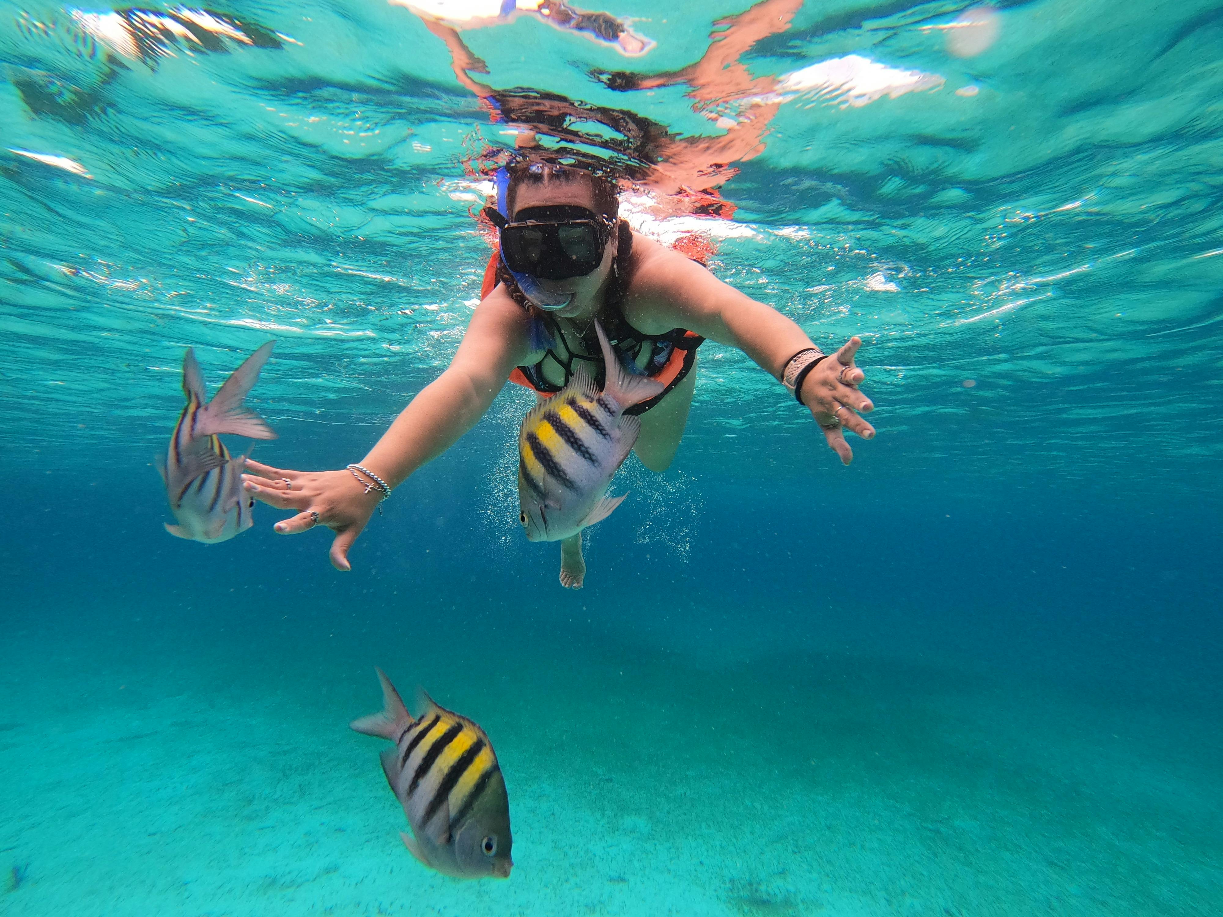 Mnemba Island Dolphin Tour — Zanzibar Tours with Zan Travels