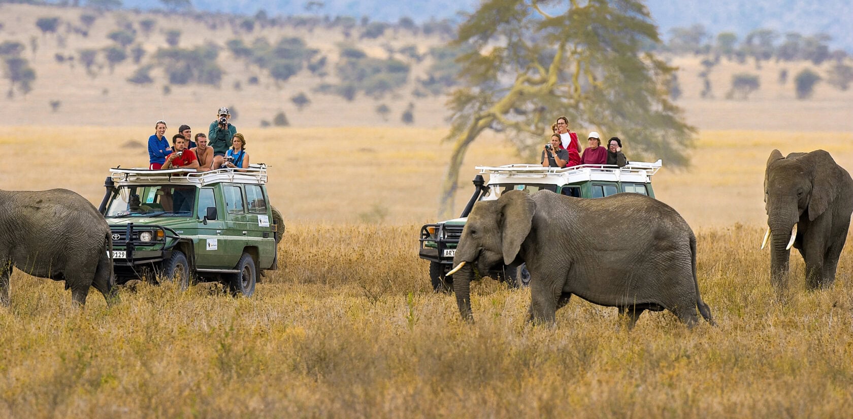 2 Days Tangire National Park & Ngorongoro Crater