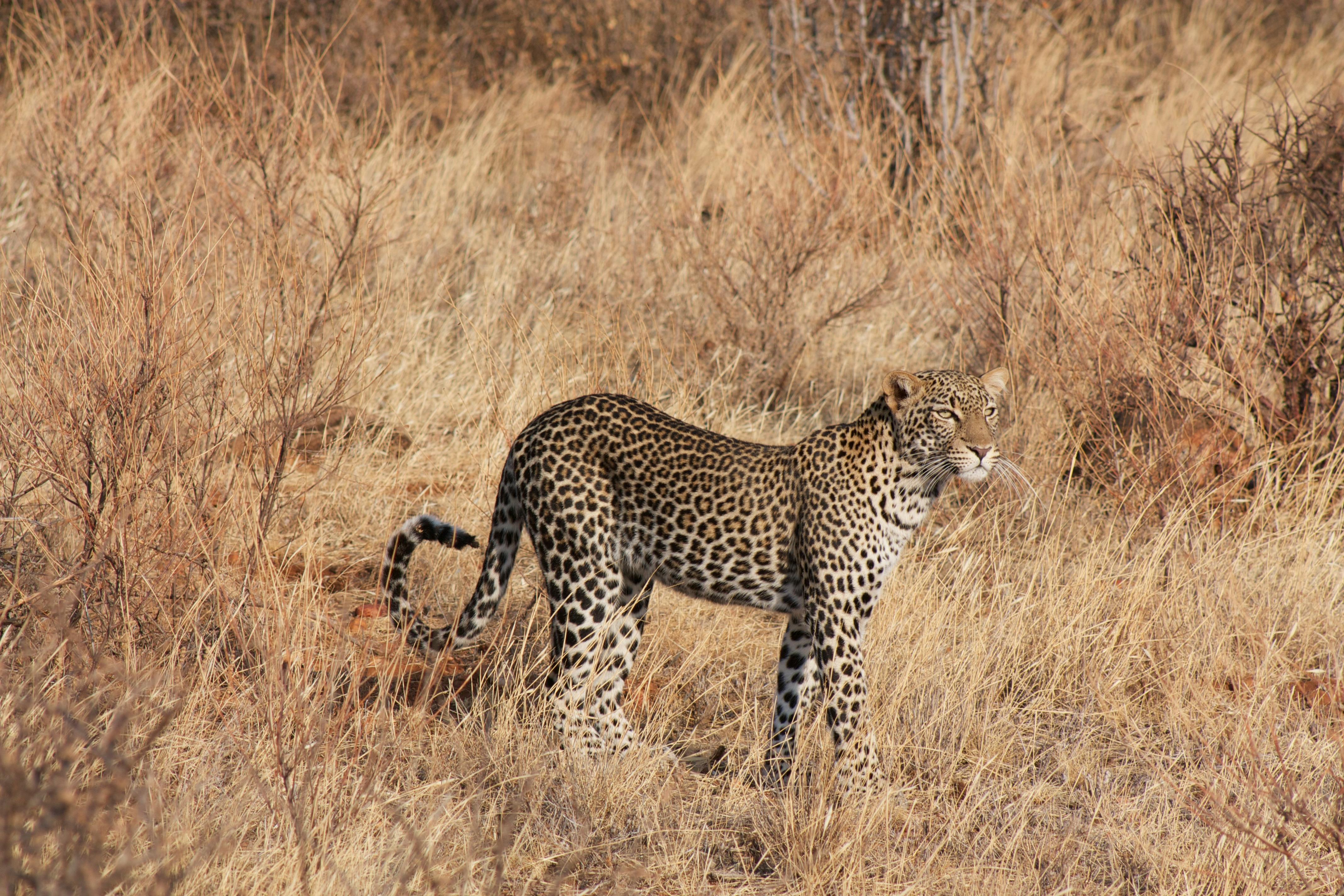 3-Day Group Tour to Serengeti & Ngorongoro photo 4