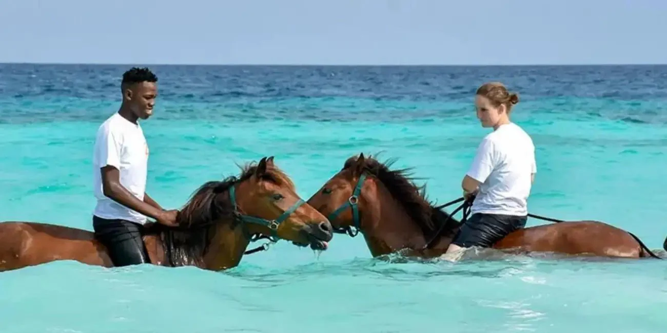 Horse Riding - 1 Hour Village and Beach Ride — Zanzibar Tours with Zan Travels